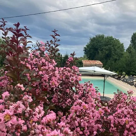 Gite Abeille-Soleil Saint-Nicolas-de-la-Grave Buitenkant foto